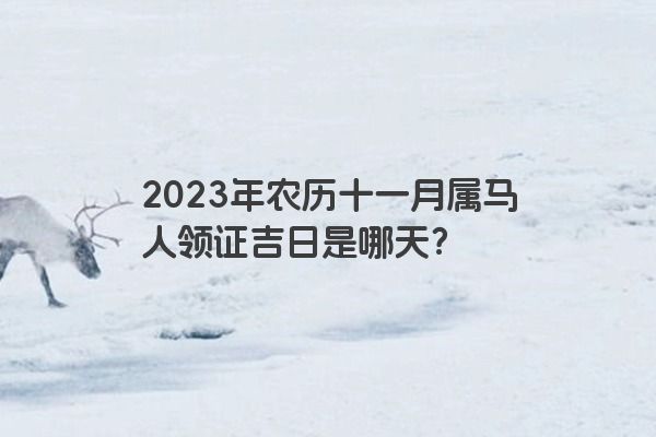2023年农历十一月属马人领证吉日是哪天？