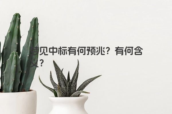 梦见中标有何预兆？有何含义？
