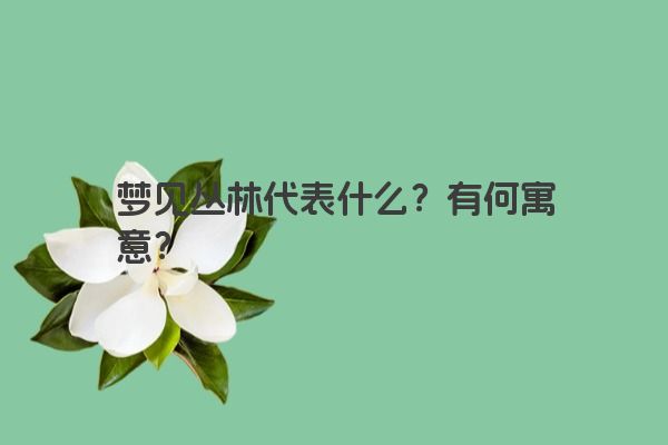 梦见丛林代表什么？有何寓意？