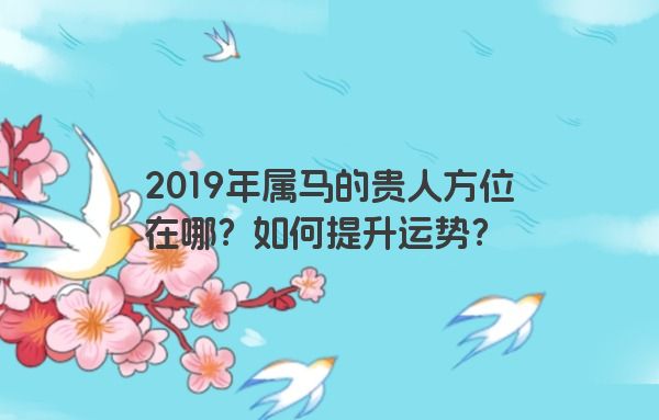 2019年属马的贵人方位在哪？如何提升运势？