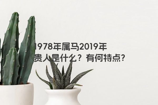 1978年属马2019年贵人是什么？有何特点？