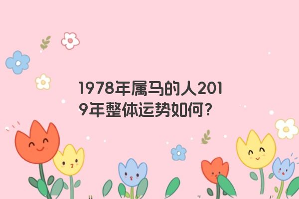 1978年属马的人2019年整体运势如何？