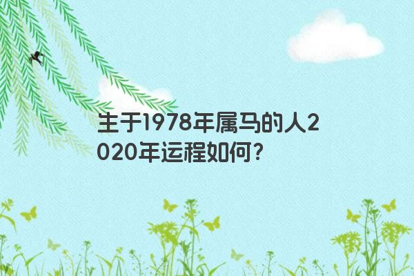 生于1978年属马的人2020年运程如何？