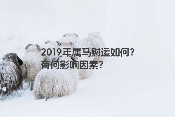 2019年属马财运如何？有何影响因素？