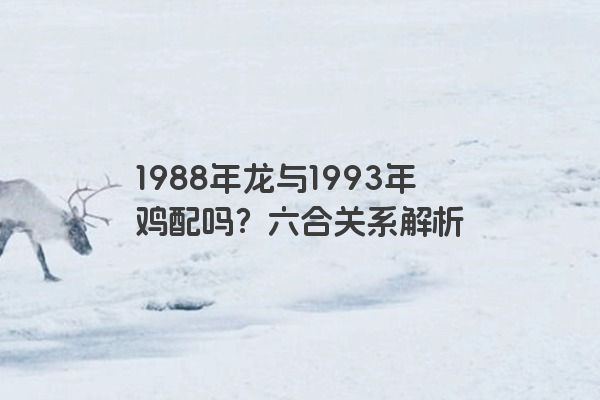 1988年龙与1993年鸡配吗？六合关系解析