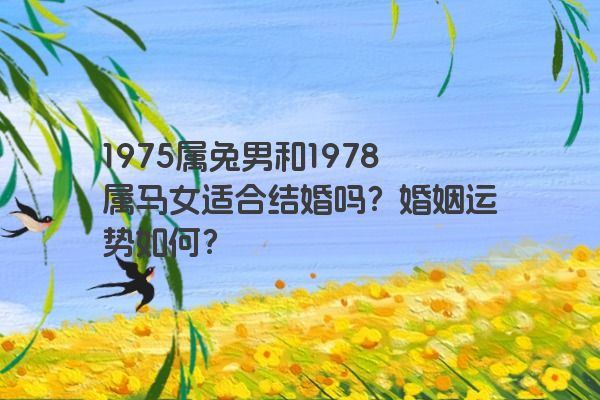 1975属兔男和1978属马女适合结婚吗？婚姻运势如何？