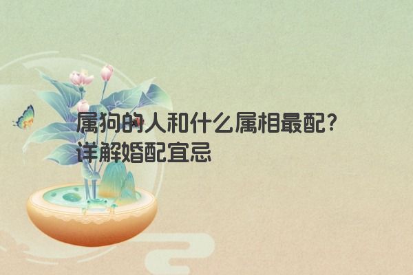 属狗的人和什么属相最配？详解婚配宜忌