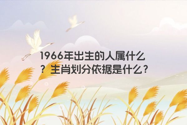 1966年出生的人属什么？生肖划分依据是什么？