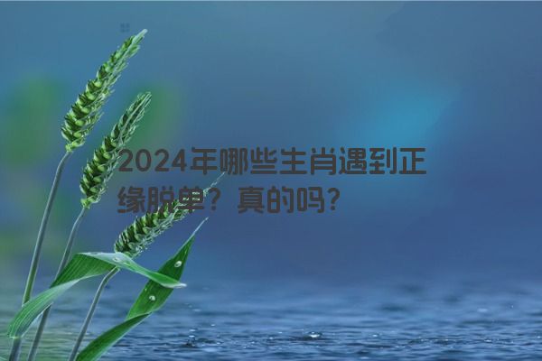 2024年哪些生肖遇到正缘脱单？真的吗？