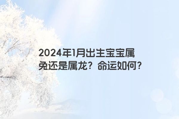 2024年1月出生宝宝属兔还是属龙？命运如何？