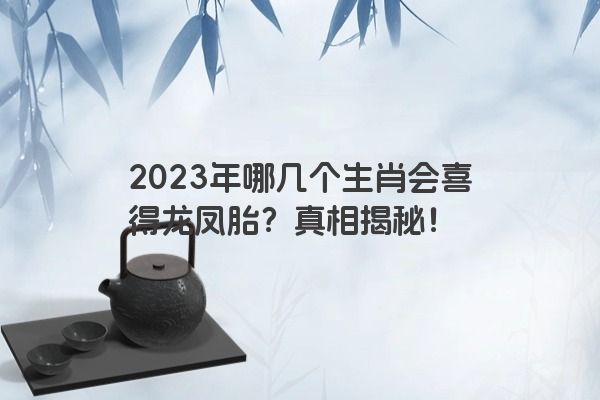 2023年哪几个生肖会喜得龙凤胎？真相揭秘！