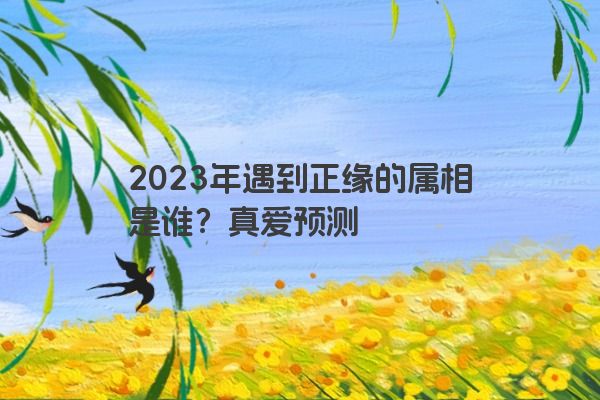 2023年遇到正缘的属相是谁？真爱预测
