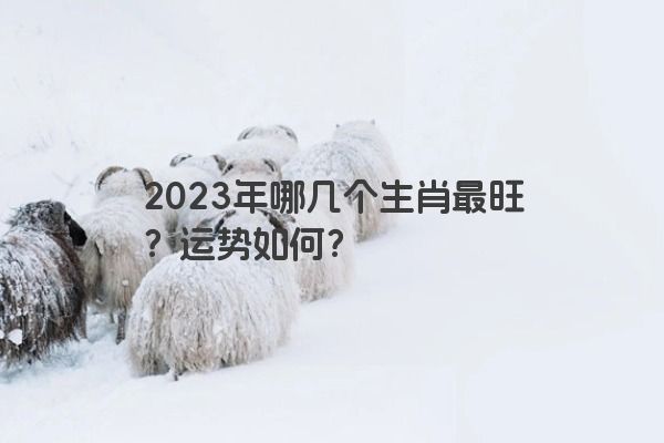 2023年哪几个生肖最旺？运势如何？