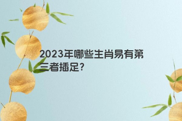 2023年哪些生肖易有第三者插足？