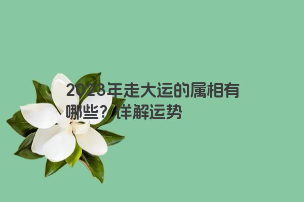 2023年走大运的属相有哪些？详解运势