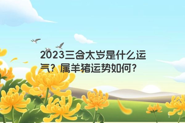 2023三合太岁是什么运气？属羊猪运势如何？