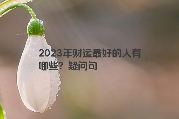 2023年财运最好的人有哪些？疑问句