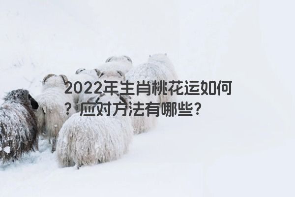 2022年生肖桃花运如何？应对方法有哪些？