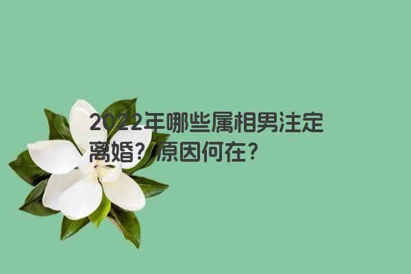 2022年哪些属相男注定离婚？原因何在？