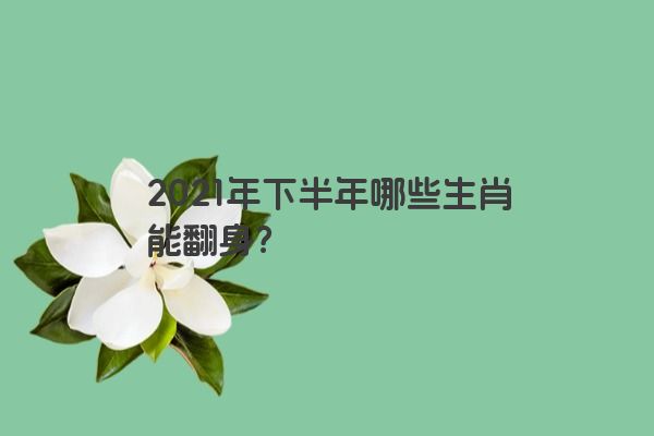 2021年下半年哪些生肖能翻身？