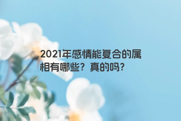 2021年感情能复合的属相有哪些？真的吗？