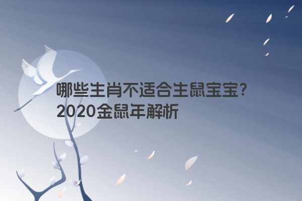 哪些生肖不适合生鼠宝宝？2020金鼠年解析