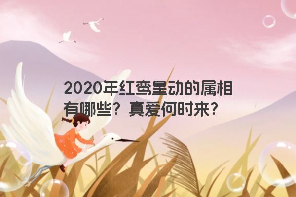 2020年红鸾星动的属相有哪些？真爱何时来？