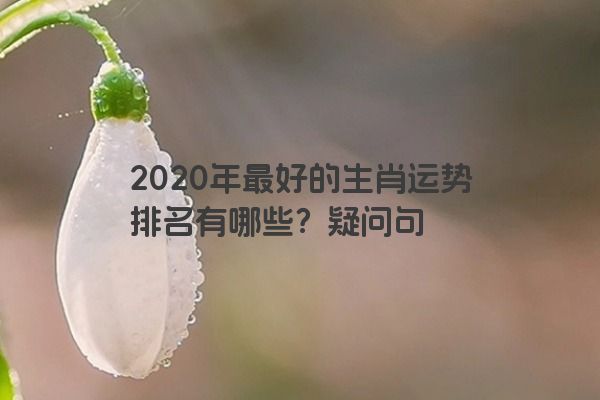 2020年最好的生肖运势排名有哪些？疑问句