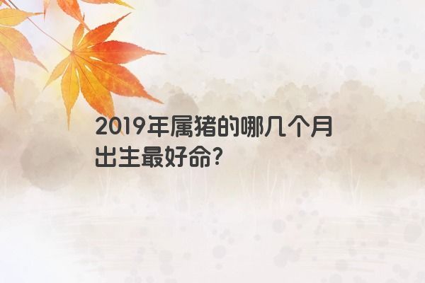 2019年属猪的哪几个月出生最好命？
