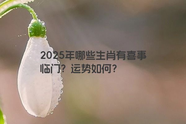 2025年哪些生肖有喜事临门？运势如何？