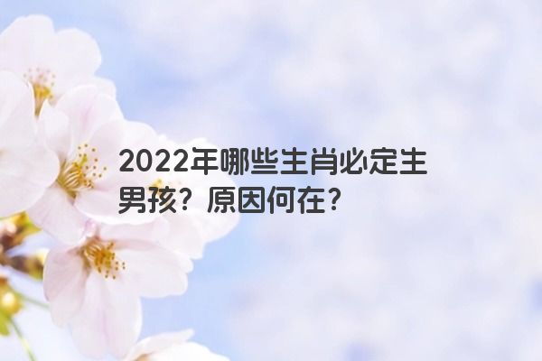 2022年哪些生肖必定生男孩？原因何在？