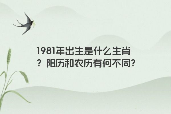 1981年出生是什么生肖？阳历和农历有何不同？