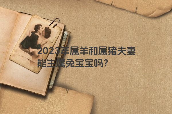 2023年属羊和属猪夫妻能生属兔宝宝吗？