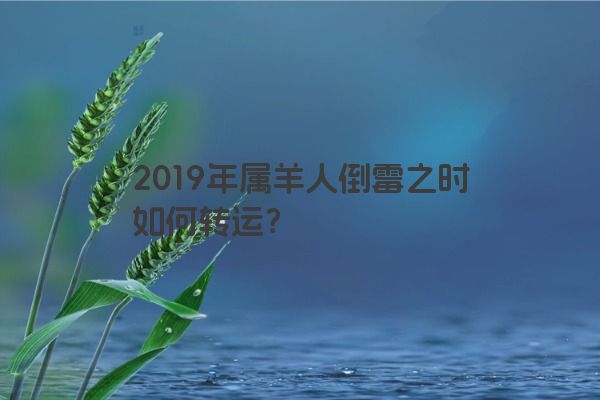 2019年属羊人倒霉之时如何转运？
