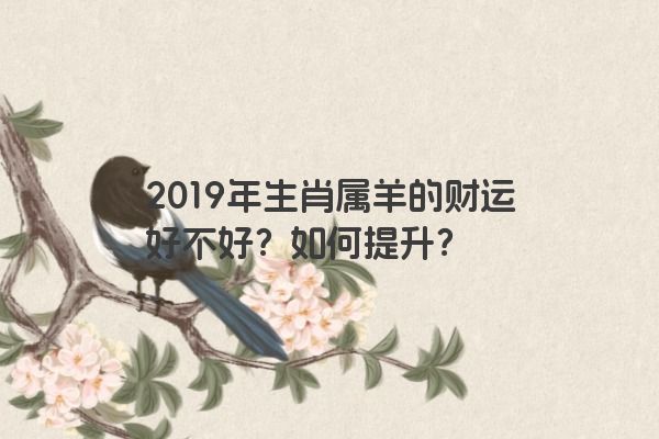 2019年生肖属羊的财运好不好？如何提升？