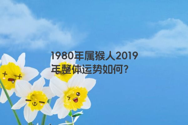 1980年属猴人2019年整体运势如何？