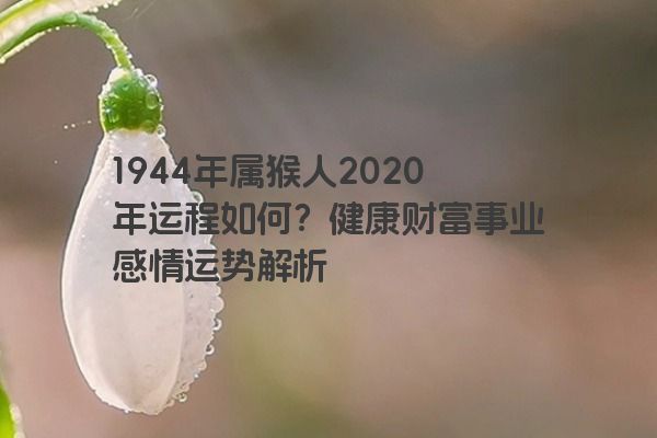 1944年属猴人2020年运程如何？健康财富事业感情运势解析