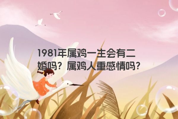 1981年属鸡一生会有二婚吗？属鸡人重感情吗？