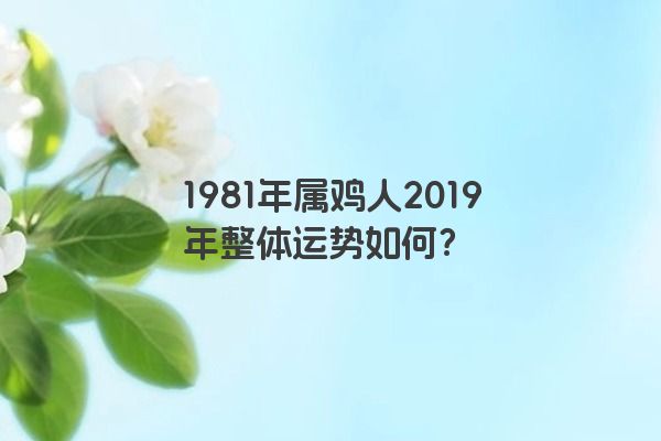 1981年属鸡人2019年整体运势如何？