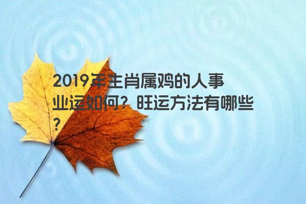 2019年生肖属鸡的人事业运如何？旺运方法有哪些？