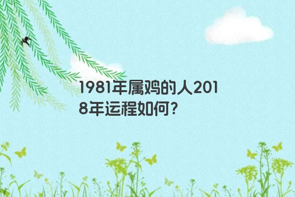 1981年属鸡的人2018年运程如何？