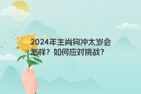 2024年生肖狗冲太岁会怎样？如何应对挑战？