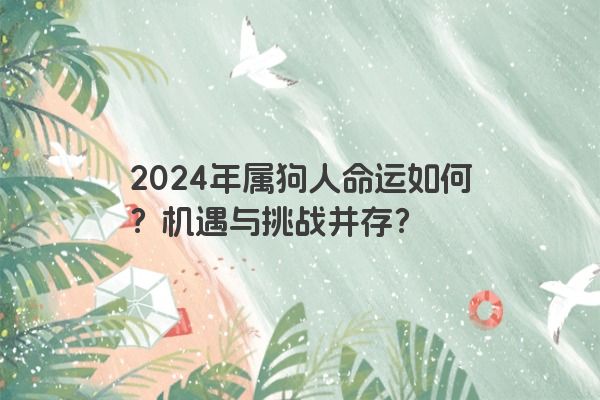 2024年属狗人命运如何？机遇与挑战并存？