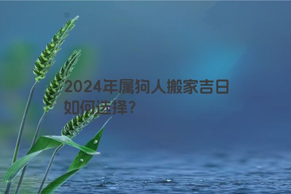 2024年属狗人搬家吉日如何选择？