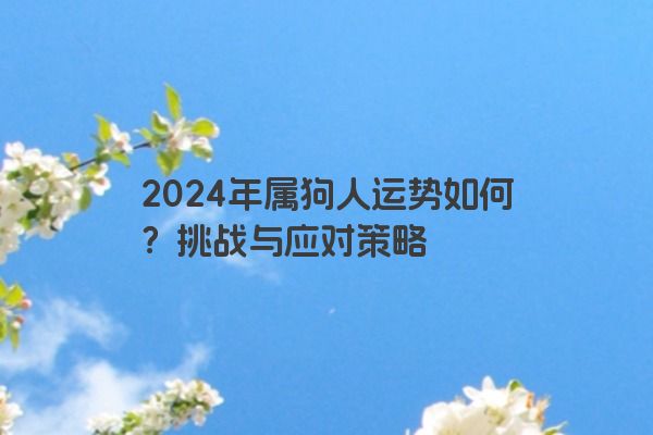 2024年属狗人运势如何？挑战与应对策略