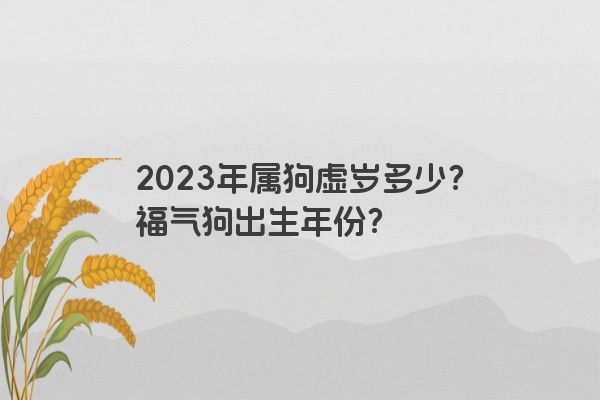 2023年属狗虚岁多少？福气狗出生年份？