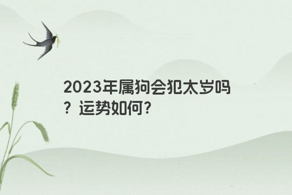 2023年属狗会犯太岁吗？运势如何？