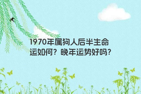 1970年属狗人后半生命运如何？晚年运势好吗？