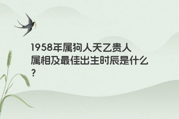 1958年属狗人天乙贵人属相及最佳出生时辰是什么？