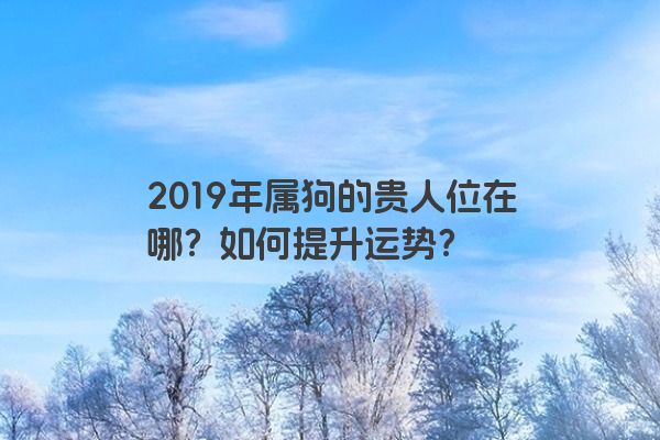 2019年属狗的贵人位在哪？如何提升运势？